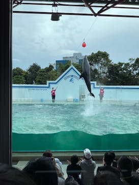 しながわ水族館に投稿された画像（2021/10/12）