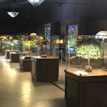 ニューヨークランプミュージアム＆フラワーガーデンに投稿された画像（2021/10/13）