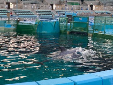 名古屋港水族館に投稿された画像（2021/10/12）