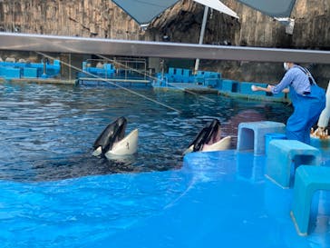 名古屋港水族館に投稿された画像（2021/10/12）