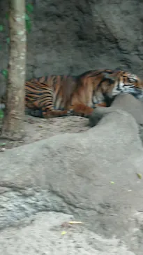 神戸どうぶつ王国に投稿された画像（2021/10/13）