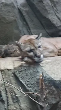 神戸どうぶつ王国に投稿された画像（2021/10/13）