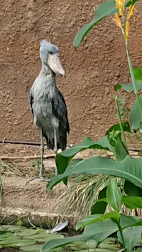 神戸どうぶつ王国に投稿された画像（2021/10/13）