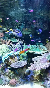 サンシャイン水族館に投稿された画像（2021/10/13）