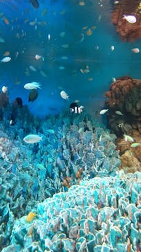 サンシャイン水族館に投稿された画像（2021/10/13）