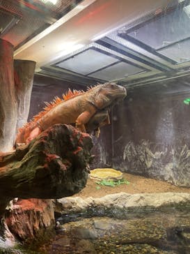 マクセル アクアパーク品川に投稿された画像（2021/10/13）