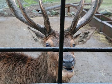 那須サファリパークに投稿された画像（2021/10/13）