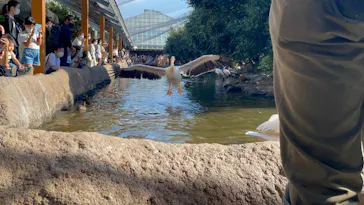 神戸どうぶつ王国に投稿された画像（2021/10/13）