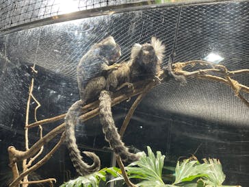 カワスイ 川崎⽔族館に投稿された画像（2021/10/13）