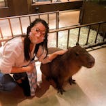 Moff animal world MARK IS みなとみらい店に投稿された画像（2021/10/13）