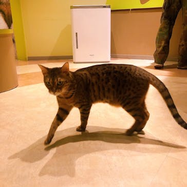 Moff animal world MARK IS みなとみらい店に投稿された画像（2021/10/13）