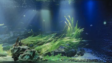 サンシャイン水族館に投稿された画像（2021/10/13）