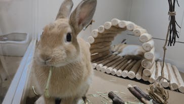 サンシャイン水族館に投稿された画像（2021/10/13）