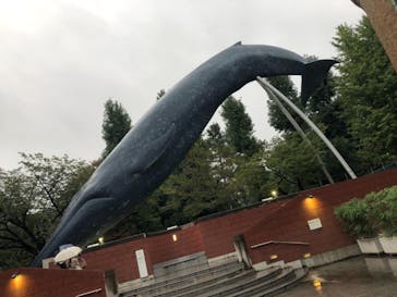 国立科学博物館に投稿された画像（2021/10/13）