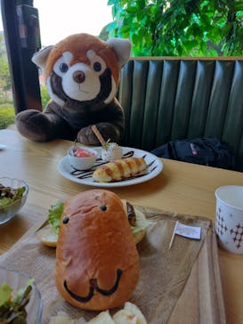 伊豆シャボテン動物公園に投稿された画像（2021/10/13）