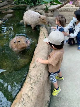 神戸どうぶつ王国に投稿された画像（2021/10/13）