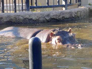 旭川市旭山動物園に投稿された画像（2021/10/13）
