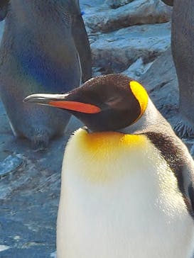 旭川市旭山動物園に投稿された画像（2021/10/13）