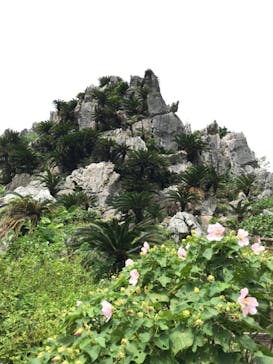 アスムイハイクスに投稿された画像（2021/10/13）