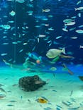 サンシャイン水族館に投稿された画像（2021/10/14）