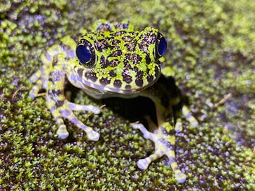 奄美ナイトツアーサービスに投稿された画像（2021/10/13）