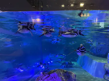 すみだ水族館に投稿された画像（2021/10/14）