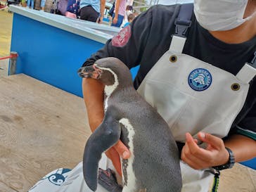 南知多ビーチランド＆南知多おもちゃ王国に投稿された画像（2021/10/14）