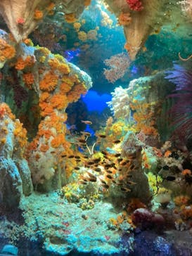 サンシャイン水族館に投稿された画像（2021/10/14）