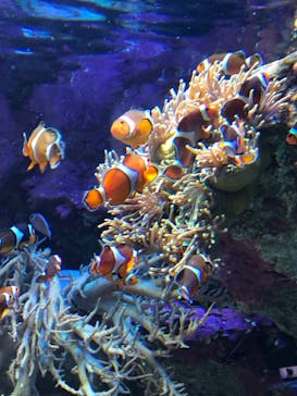 サンシャイン水族館に投稿された画像（2021/10/14）
