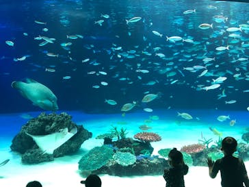 サンシャイン水族館に投稿された画像（2021/10/14）