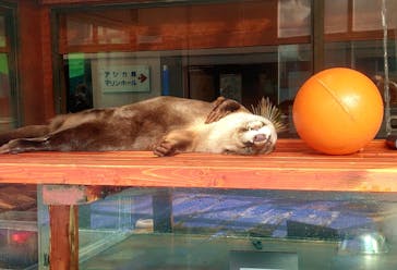 ゼロ距離水族館 伊勢シーパラダイスに投稿された画像（2021/10/14）