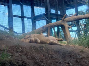 沖縄こどもの国に投稿された画像（2021/10/14）