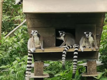 ネオパークオキナワに投稿された画像（2021/10/14）