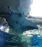 マクセル アクアパーク品川に投稿された画像（2021/10/14）