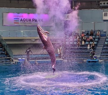 マクセル アクアパーク品川に投稿された画像（2021/10/14）