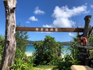 奄美海族塾に投稿された画像（2021/10/14）