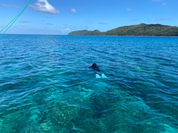 奄美海族塾に投稿された画像（2021/10/14）