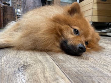 Countless River（カウントレスリバー）に投稿された画像（2021/10/14）