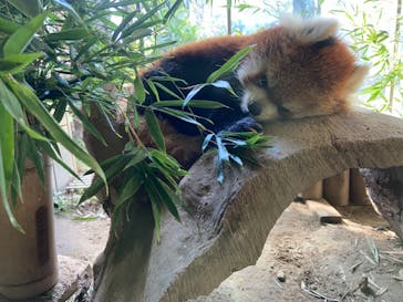よこはま動物園ズーラシアに投稿された画像（2021/10/14）