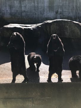 奥飛騨クマ牧場に投稿された画像（2021/10/14）