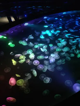 すみだ水族館に投稿された画像（2021/10/14）