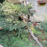 群馬サファリパークに投稿された画像（2021/10/15）