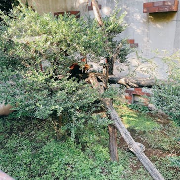 群馬サファリパークに投稿された画像（2021/10/14）