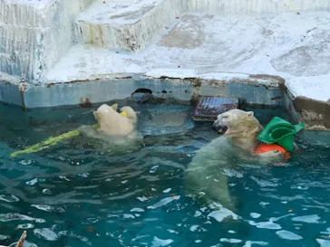 天王寺動物園に投稿された画像（2021/10/15）