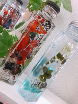 ずこうしつ〜sugamo〜に投稿された画像（2021/10/15）