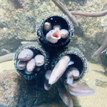 仙台うみの杜水族館に投稿された画像（2021/10/15）