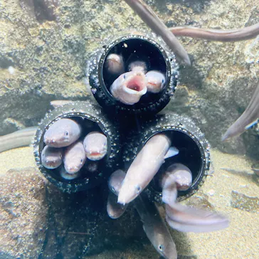 仙台うみの杜水族館に投稿された画像（2021/10/15）