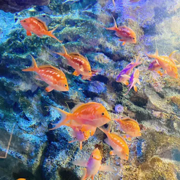 仙台うみの杜水族館に投稿された画像（2021/10/15）