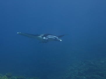 マリンショップtaitaiに投稿された画像（2021/10/15）