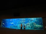大分マリーンパレス水族館 「うみたまご」に投稿された画像（2021/10/15）